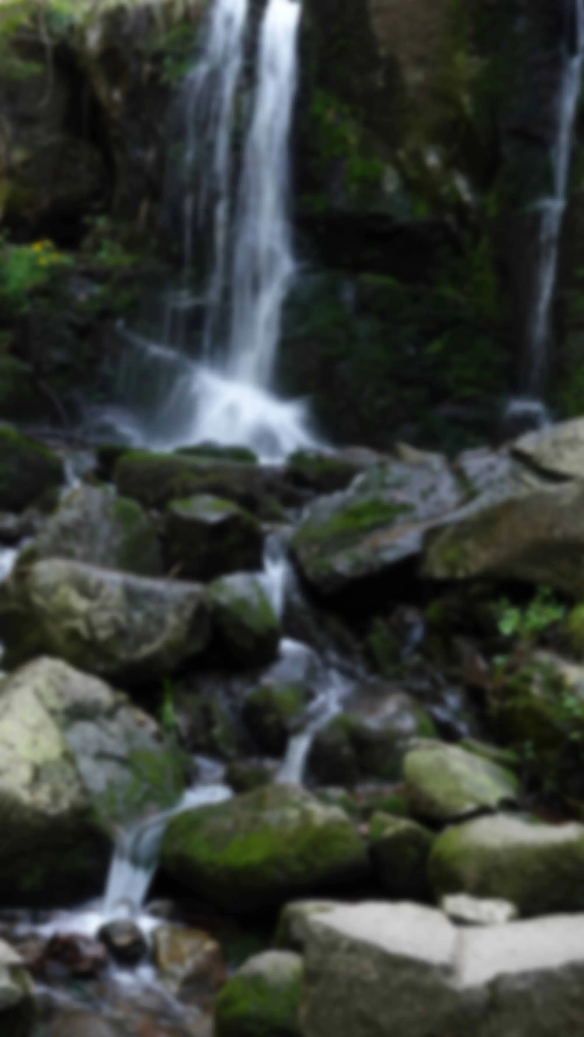 Cascade de Mérelle, à dix minutes à pied du chalet