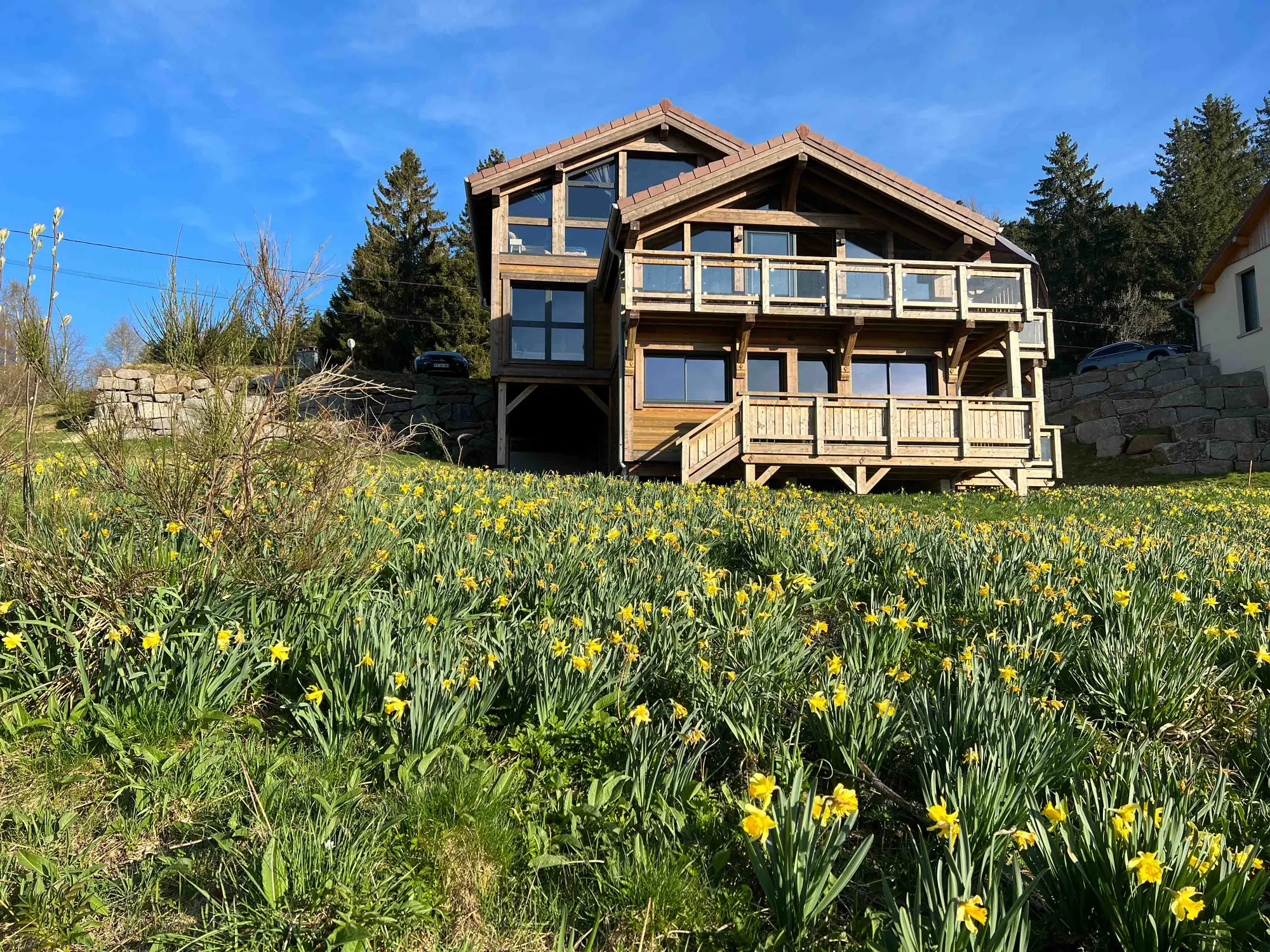 Le chalet Le Flocon du Lac à Gérardmer au printemps, entouré de jonquilles