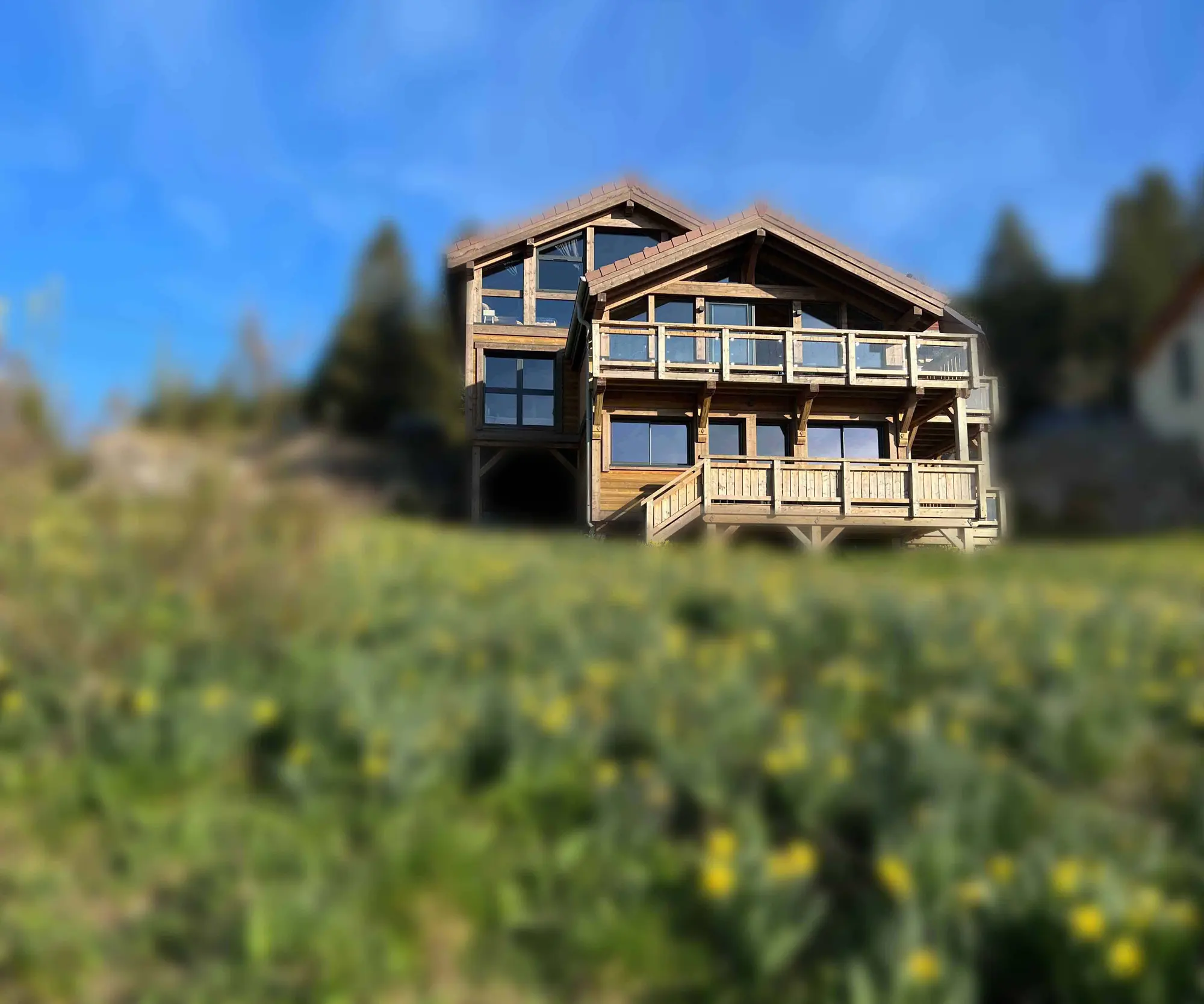 Le Flocon du Lac chalet in Gérardmer in spring, surrounded by daffodils